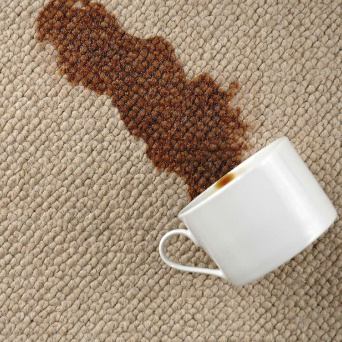 mobilecarpetandupholsterycleaning